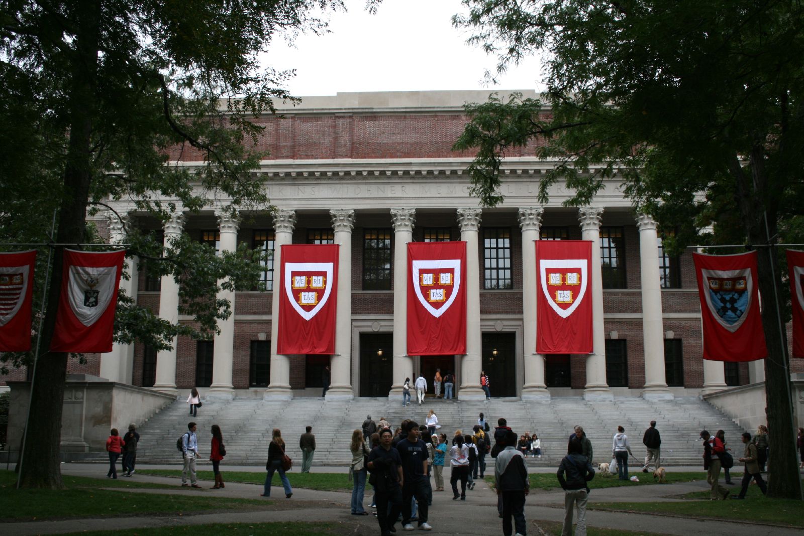Here’s How Students at Harvard, Stanford and John Hopkins Pass the USMLE