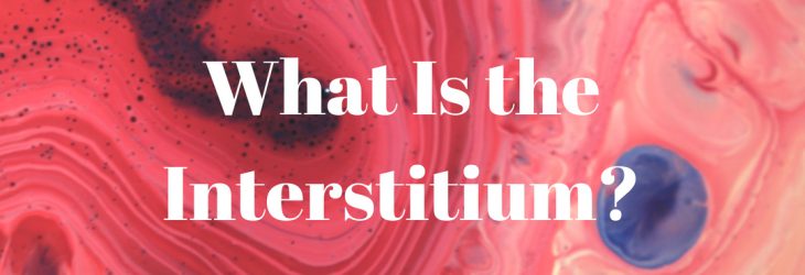 A New Organ Has Been Discovered – Everything You Want to Know About the Interstitium